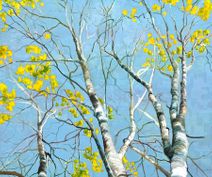 Maleri af birketræer på lyseblå himmel