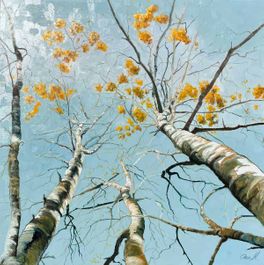 100x100 cm oliemaleri af birke træer med efterårsfarver